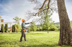 Best Lawn Irrigation Installation and Maintenance  in Brewton, AL